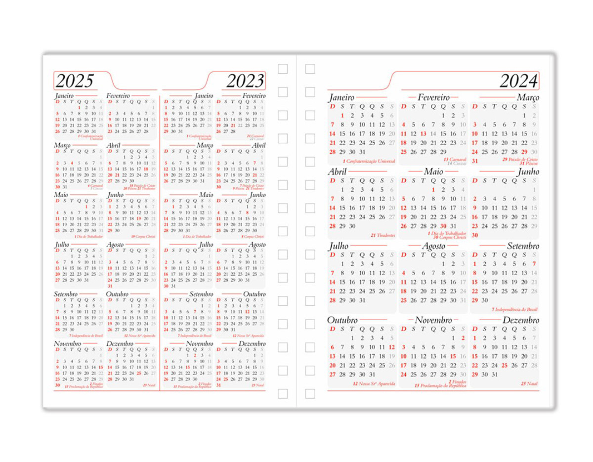 Agenda diária metalizada com detalhe colorido em diagonal. Possui espiral, "bolso" plástico atrás da capa, dados pessoais, calendários 2023 à 2025, endereços da internet, mapa do Brasil, mapa mundi, índice telefônico e planejamento.
