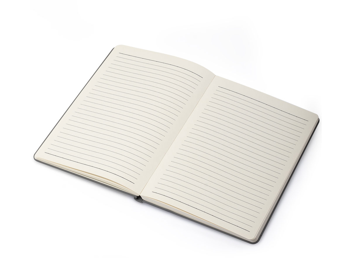 Caderno de anotações com pauta, e com suporte para caneta, capa dura em PU, miolo 80 folhas pautadas na cor bege. NÃO ACOMPANHA CANETA
