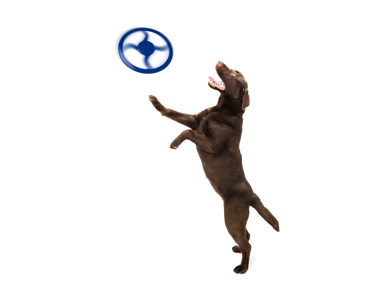 Garanta momentos de pura diversão e interação com o seu pet com o nosso frisbee colorido! Disponível em diversas cores vibrantes, ele é perfeito para brincadeiras ao ar livre, estimulando a atividade física e melhorando a sua saúde e a do seu melhor amigo. Feito com plástico, é fácil de lançar e confortável para o pet segurar. Torne os passeios ainda mais animados e proporcione ao seu amigão uma experiência cheia de energia e alegria!