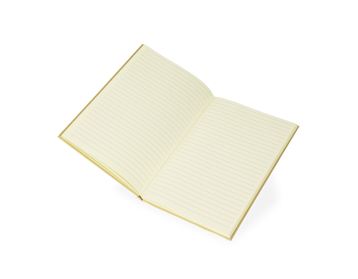 Caderneta leve e versátil, com capa dura em papel kraft e acabamento liso na frente e no verso. Contém aproximadamente 60 folhas amareladas com pauta e duas folhas de guarda.